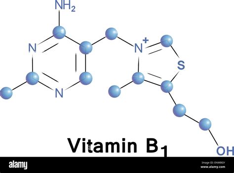 女性專用B群成分為何如此重要？探索維他命B群的奧秘！